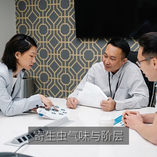 《寄生虫》气味与楼梯空间叙事分析配图，韩国电影解读