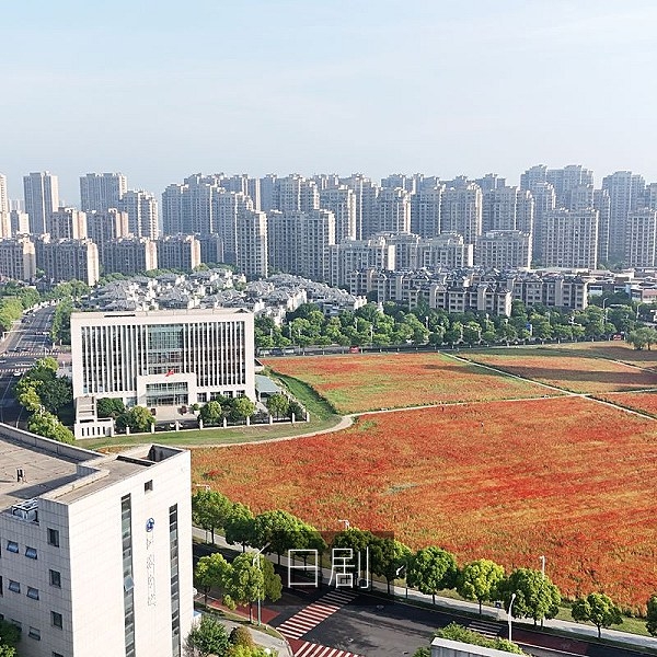 日剧职场题材热播剧照与剧情解读
