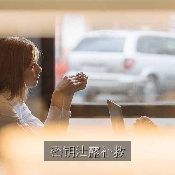 密钥误提交公开仓库后的补救步骤