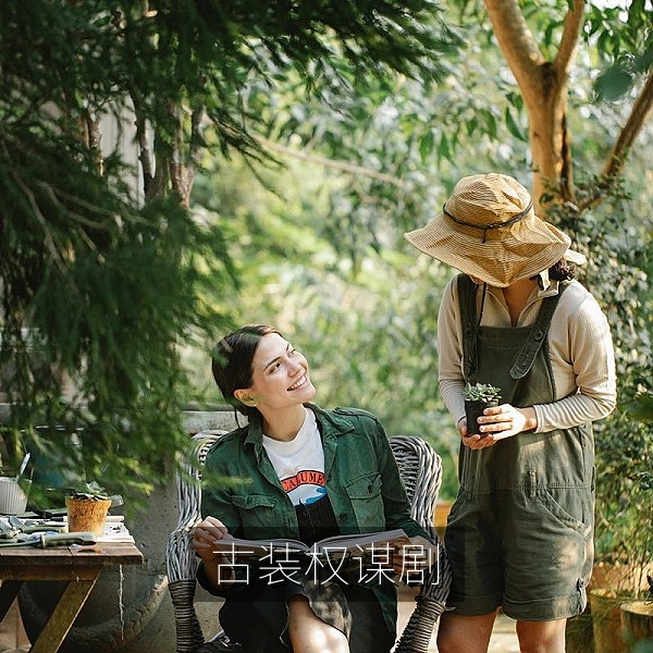 古装权谋电视剧《长安折柳》海报，高清在线追剧推荐