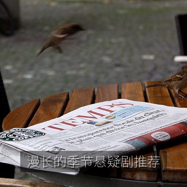 悬疑电视剧推荐《漫长的季节》东北老工业城雪景插图
