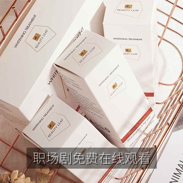 职场剧《青春合伙人》免费在线观看剧照