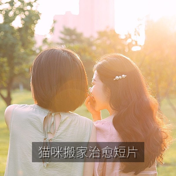 一只猫的搬家日治愈系原创短片中猫咪探索新家