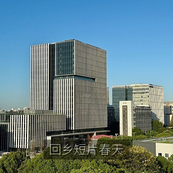 原创短片《回乡的第七个春天》乡间小路画面