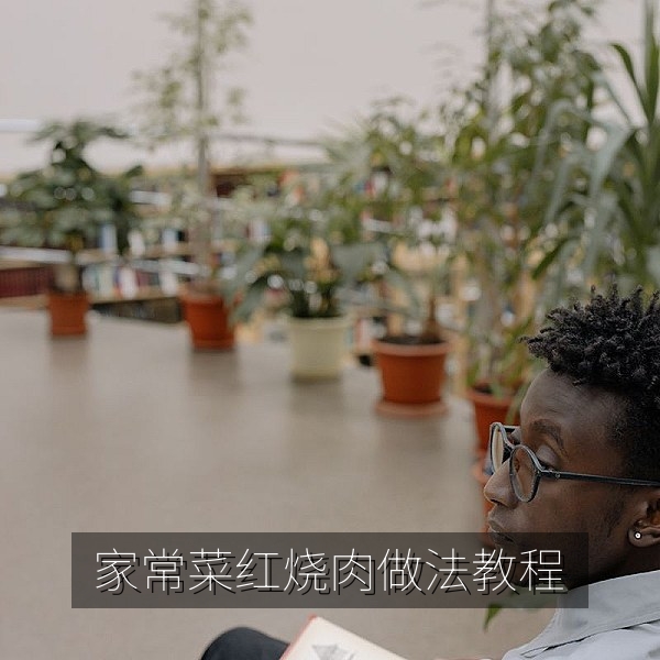 家常红烧肉做法教程短视频在线观看