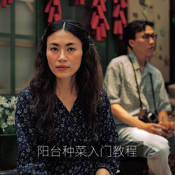 阳台种菜入门教程视频在线观看