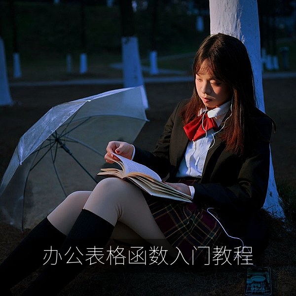 零基础办公表格函数入门教程视频画面