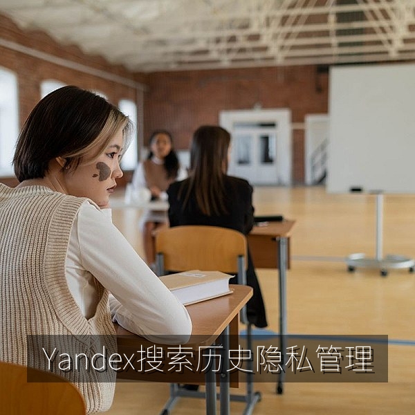 Yandex搜索历史与隐私选项管理的使用建议配图