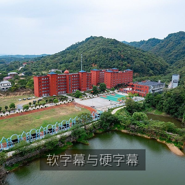 软字幕与硬字幕效果对比，说明外语电影字幕的不同呈现方式