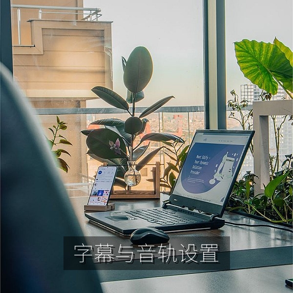视频播放器字幕与音轨设置的高清观影技巧