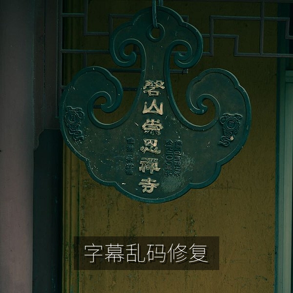 屏幕上出现字幕乱码的画面，介绍中文字幕编码问题的修复方法
