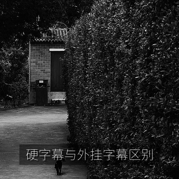 硬字幕与外挂字幕对比图，日韩剧中文字幕观影设置教程
