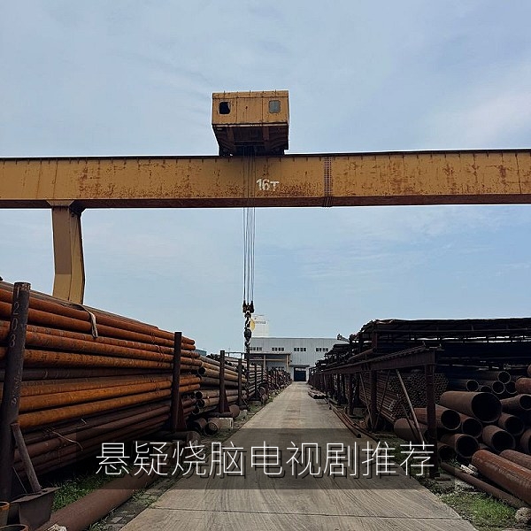 悬疑烧脑电视剧推荐片单，高分悬疑剧合集