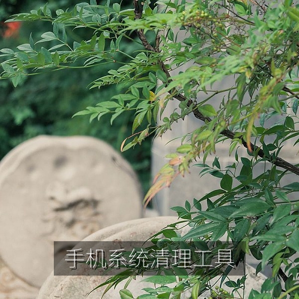 手机系统清理工具与存储空间分析界面