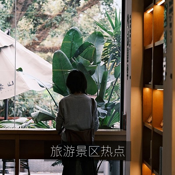景区热点话题网友热议图文