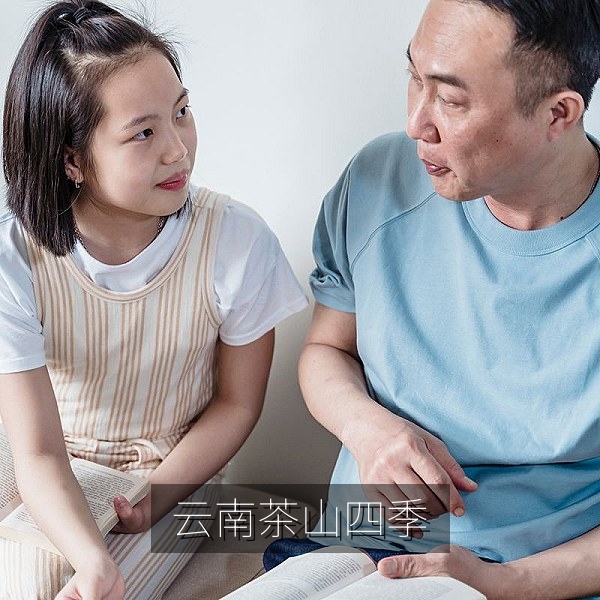 云南茶山四季风光国内旅行视频