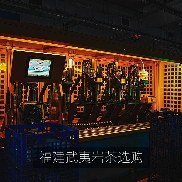 地方特产选购：福建武夷岩茶茶汤与干茶外形