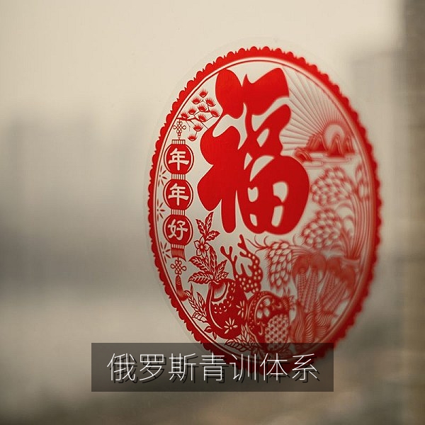 俄罗斯青少年冰球与足球青训体系，教练指导训练