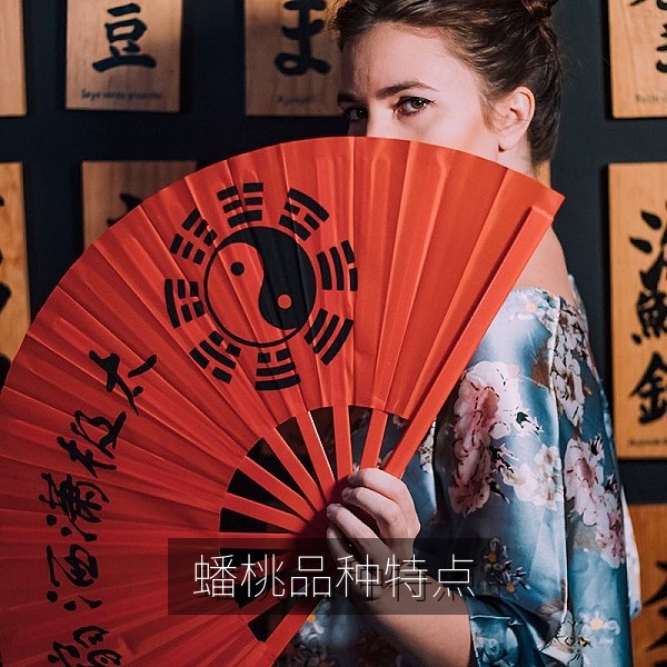 扁圆形蟠桃品种特点科普图