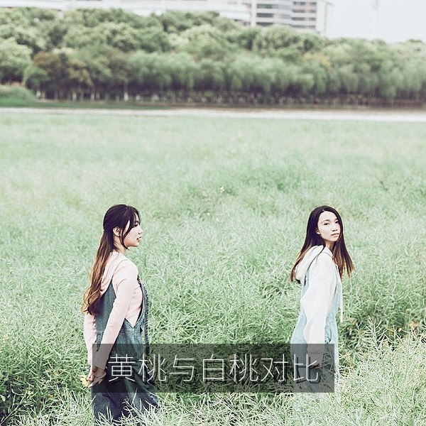 黄桃与白桃口感对比，蜜桃品种科普
