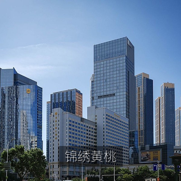 金黄饱满的锦绣黄桃品种果实