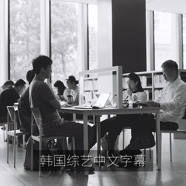 韩国综艺中文字幕专题配图，户外竞技游戏综艺画面