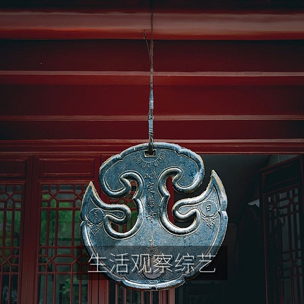 生活观察类综艺推荐，适合全家观看的热门综艺