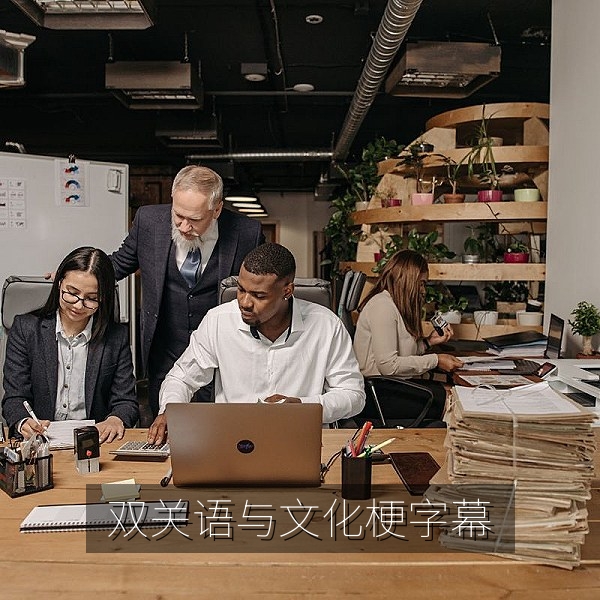 电影中双关语与文化梗的中文字幕翻译案例配图
