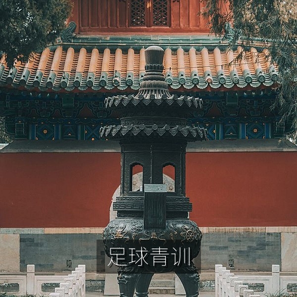 俄罗斯足球青训学院的少年球员训练画面