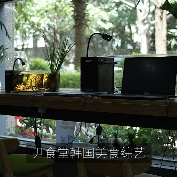 尹食堂韩国美食综艺中文字幕在线观看剧照