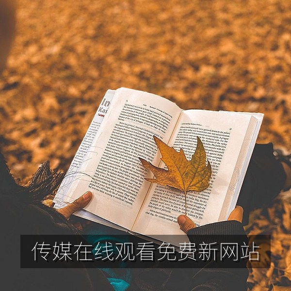传媒在线观看免费新网站首屏，免费纪录片与影视内容展示