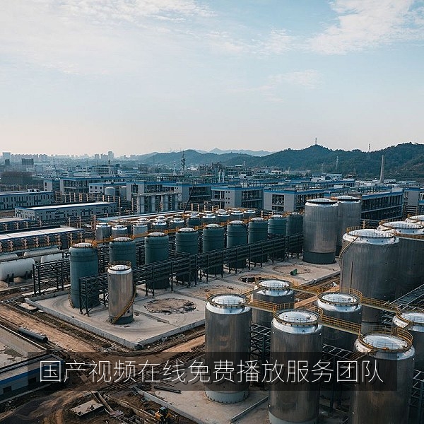 国产视频在线免费播放编辑与客服团队办公场景