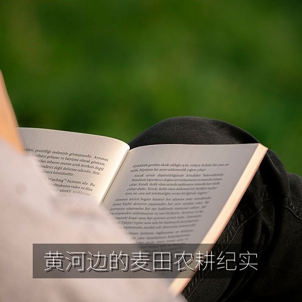 国产纪录片黄河边的麦田，农耕四季纪实画面
