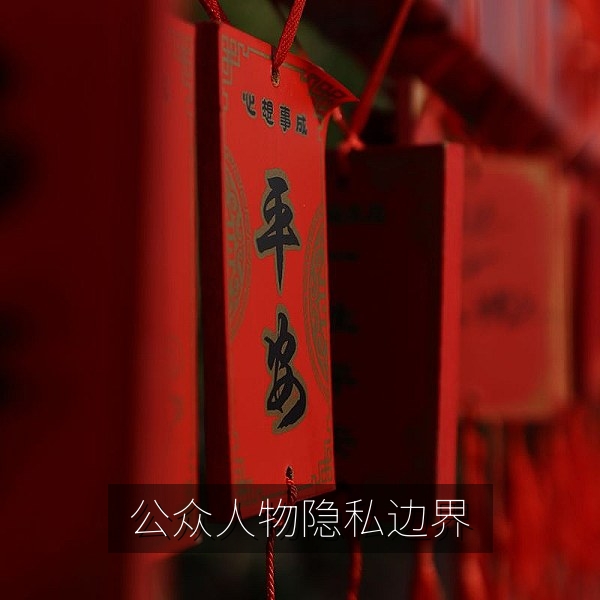 公众人物与隐私边界的舆情案例深度解读配图