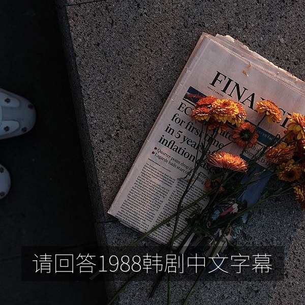 请回答1988韩剧中文字幕双门洞邻里温情场景
