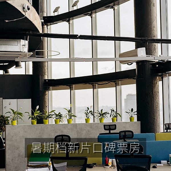 暑期档新片口碑分化与票房走势的娱乐热点吃瓜资讯配图