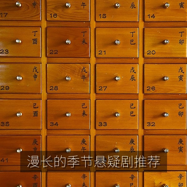 漫长的季节悬疑剧推荐年代氛围海报