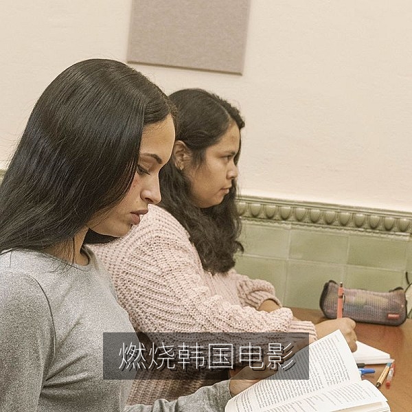 燃烧韩国电影中文字幕悬疑文艺风格乡村暮色画面