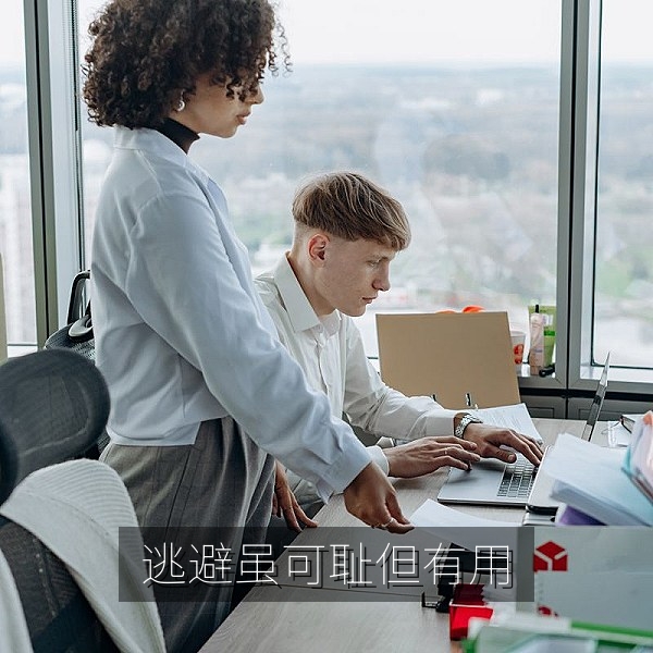 治愈系日剧《逃避虽可耻但有用》契约婚姻爱情喜剧配图