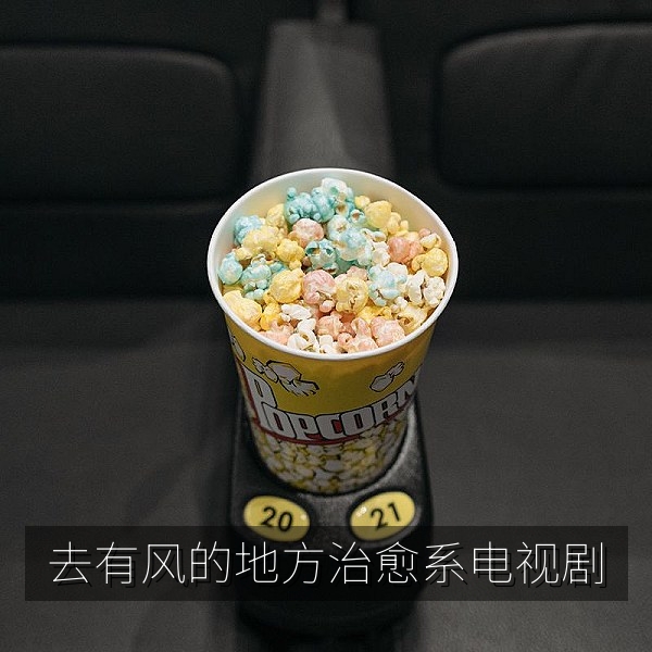 去有风的地方治愈系都市田园电视剧推荐海报