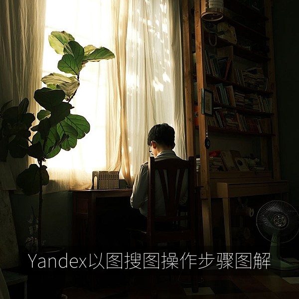 Yandex以图搜图操作步骤图解：上传图片、框选区域与对比来源