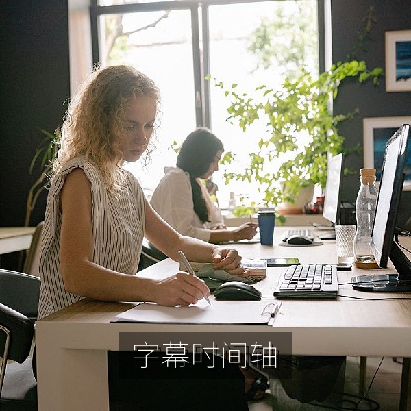 中文字幕时间轴对齐操作界面