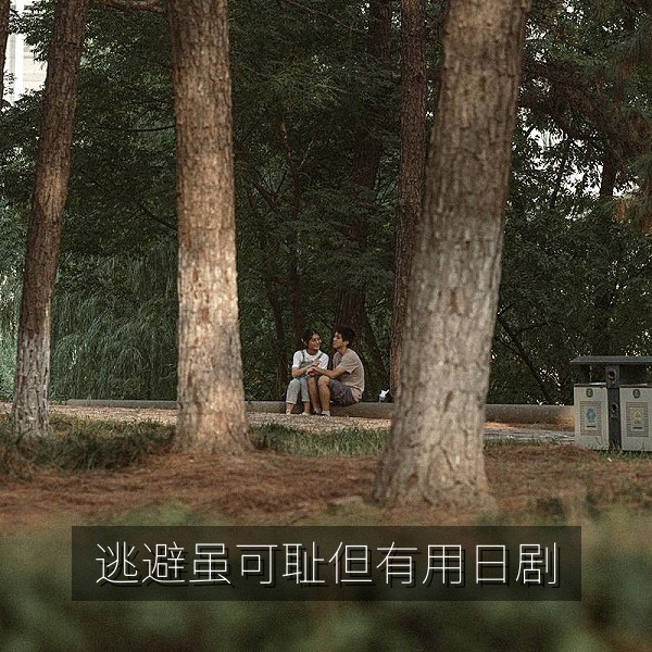 日剧《逃避虽可耻但有用》契约夫妻题材插图