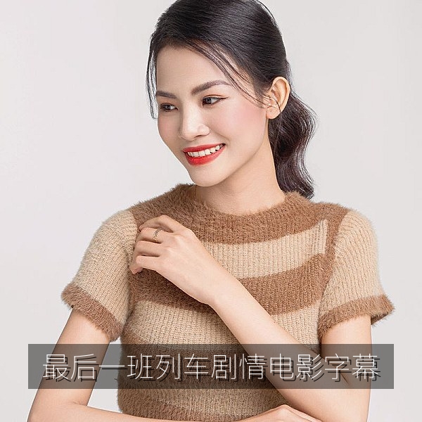 剧情电影《最后一班列车》海报，高清电影在线观看带中英双语字幕