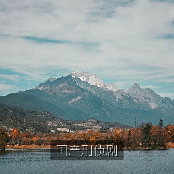 国产刑侦悬疑剧高清海报，华语罪案剧集高清免费追剧