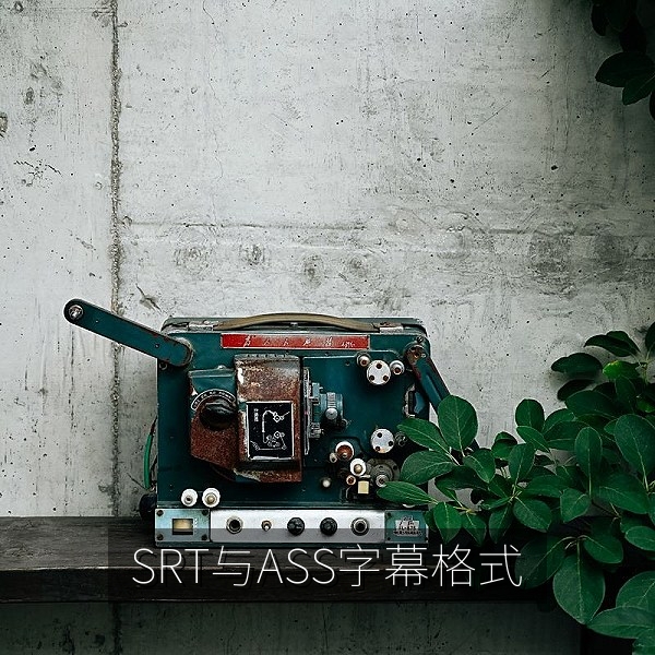 SRT 与 ASS 中文字幕格式对比示意