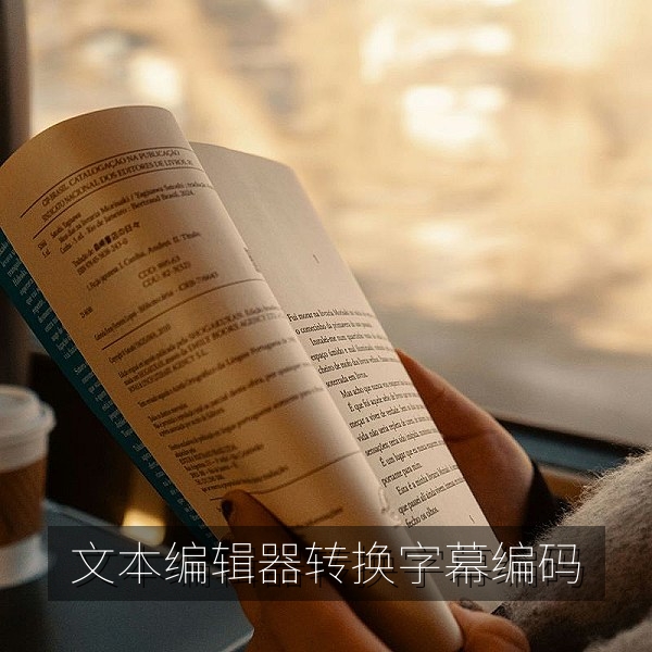 使用文本编辑器转换字幕文件编码的操作截图