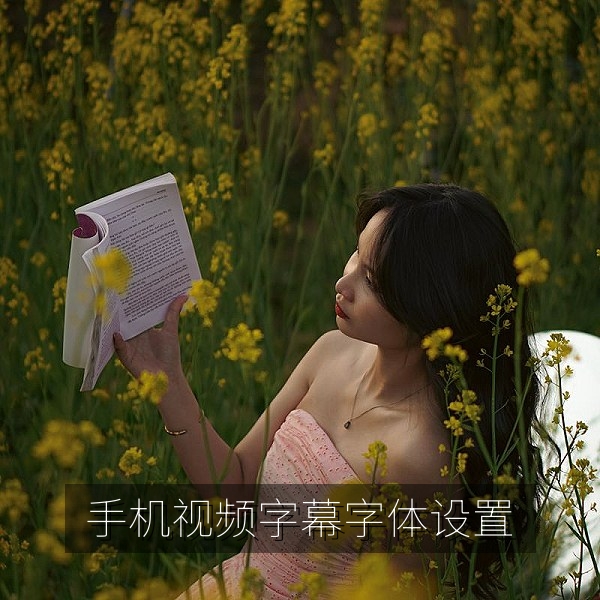 手机视频应用中调整中文字幕字体的设置页面