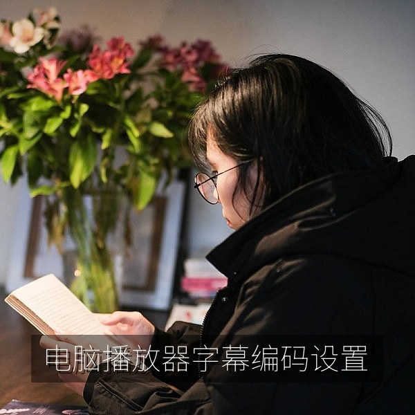 电脑播放器中设置字幕编码解决乱码的界面
