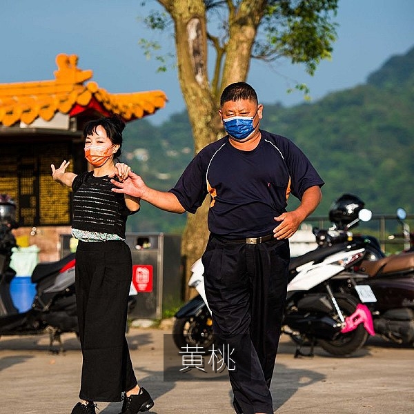 金黄色的黄桃适合做糖水和烘焙